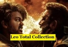 Leo Worldwide Box Office Collection: Thalapathy Vijay’s ‘Leo’ dominates worldwide; Earning so many crores in 7 days Leo Worldwide Box Office Collection