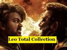 Leo Worldwide Box Office Collection