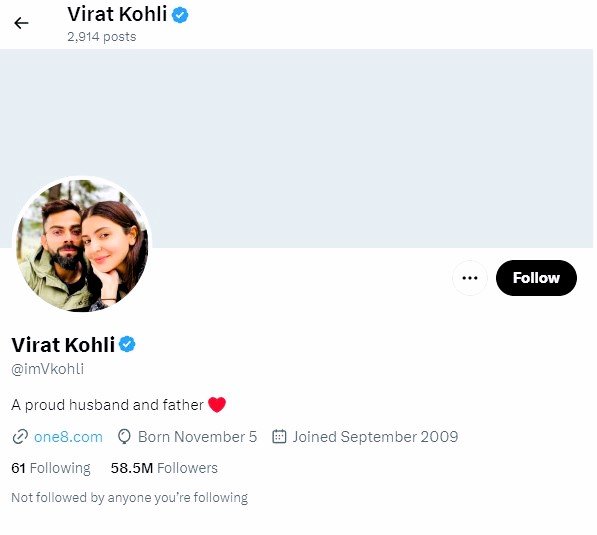 Virat Kohli income per day